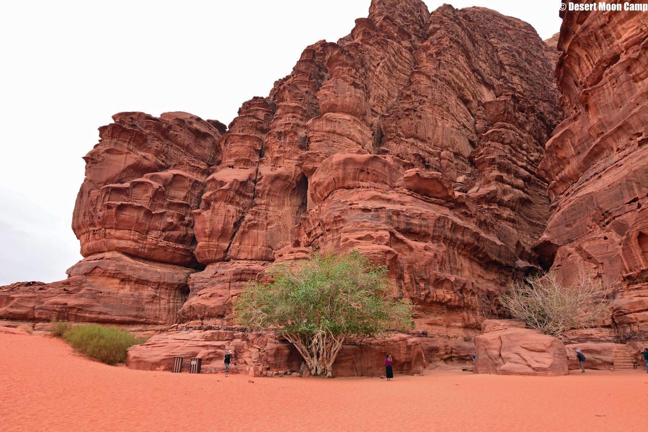 Desert Moon Camp Wadi Rum Exterior foto